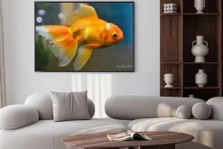 Plakat: Złota ryba, rybka podwodne