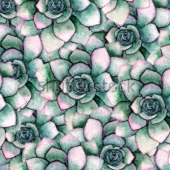 Tapeta: Akwarela bezszwowe botaniczny wzór z sukulenty