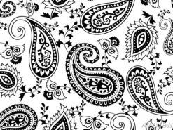 Tapeta: Black and white vector paisley seamless pattern for fashion and