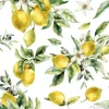 Tapeta: Cytryny akwarelowe
