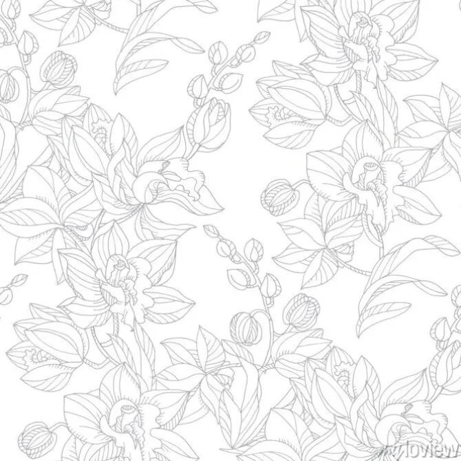 Tapeta: Czarne kontury gałązek i kwiatów storczyka na białym tle