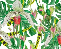 Tapeta: Deseń liści potwory i storczyki, dobrze rozmieszczone, nadające