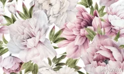 Tapeta: Duże pąki różowej piwonii malowane akwarelą