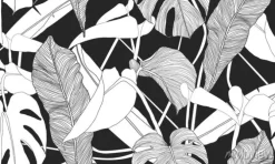 Tapeta: Duże tropikalne liście w odcieniach czerni i bieli