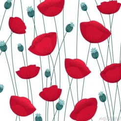 Tapeta: Floral bez szwu deseń z maku kwiaty na białym tle. tło wektor