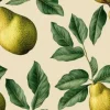 Tapeta: Fruit pattern. seamless pattern of pears and leaves. vintage