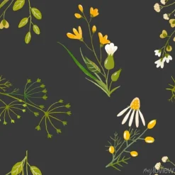 Tapeta: Gałązki polnych roślin na czarnym tle