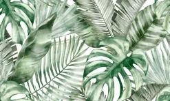 Tapeta: Gęste liście palmowe i monstery