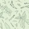 Tapeta: Hand drawn sketch with herbs and plants. seamless pattern.
