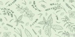 Tapeta: Hand drawn sketch with herbs and plants. seamless pattern.