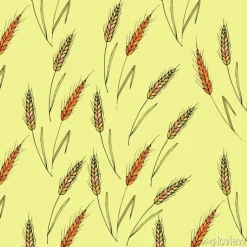 Tapeta: Jednolite tło wektor ze spikelami pszenicy.