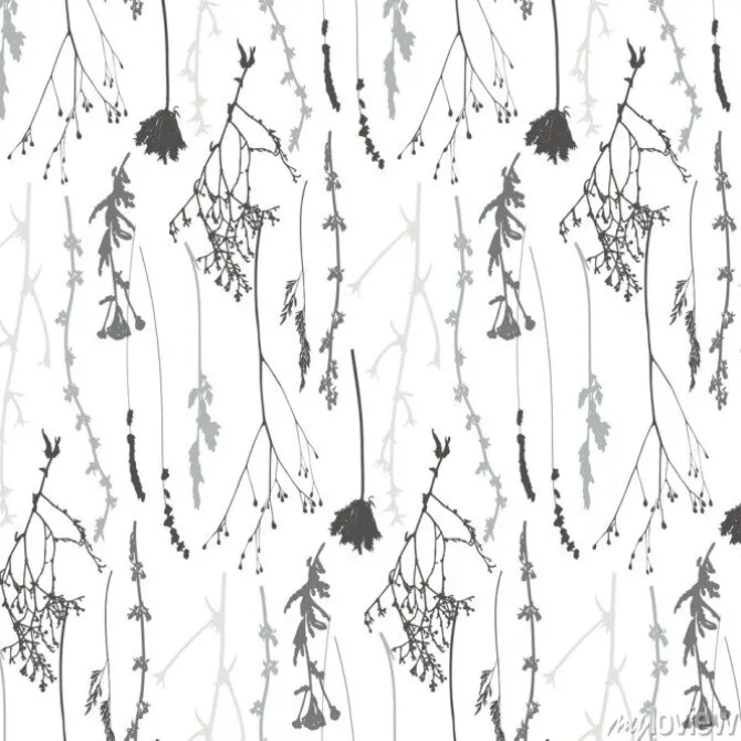 Tapeta: Łąka traw, ziół i kwiatów kontury wektor wzór.