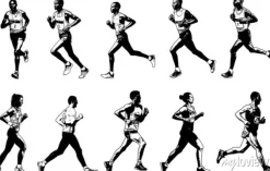 Tapeta: Kolekcja biegaczy, rysunek szkicu