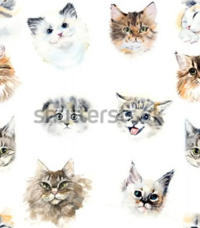 Tapeta: Koty różnych ras w stylu akwarelowym