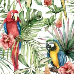 Tapeta: Kwiaty hibiskusa i papugi na białym tle