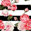 Tapeta: Kwiaty piwonie i róże na tle w paski