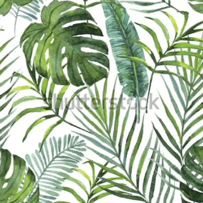 Tapeta: Liście tropikalne egzotyczne rośliny