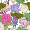 Tapeta: Lotus or water lilies seamless pattern. elegant tropical floral
