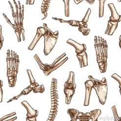 Tapeta: Ludzkie szkielet ko? ci bezszwowych wzór t? a