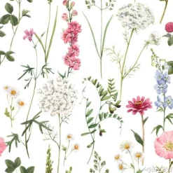 Tapeta: Malowane akwarelą polne kwiaty w żywych kolorach