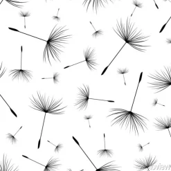 Tapeta: Minimalistyczne dmuchawce z puchem