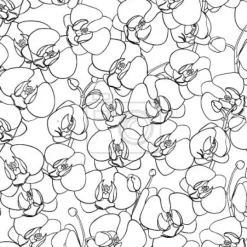 Tapeta: Ocean orchidee