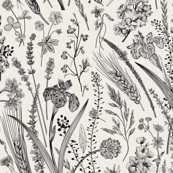 Tapeta: Ogrodowe i polne rośliny w stylu szkicu