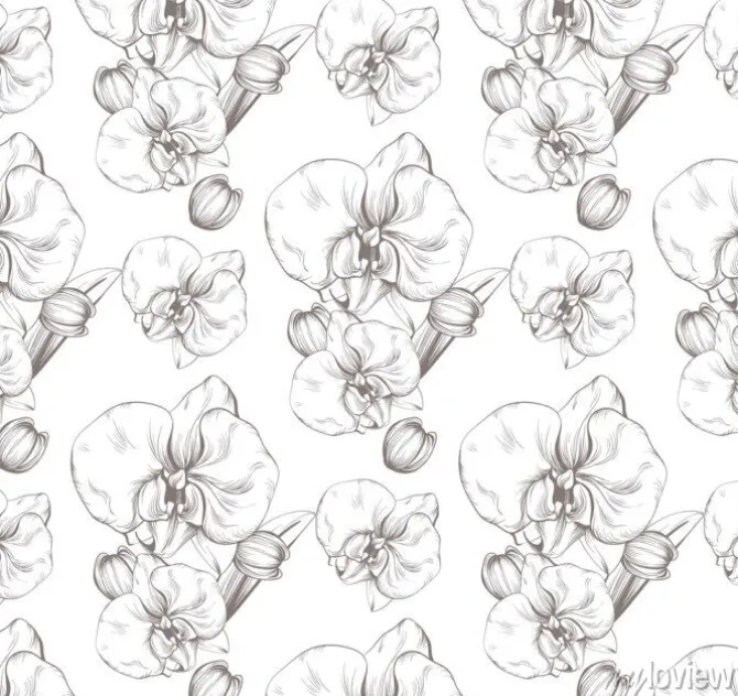 Tapeta: Piękne kwiaty orchidea wektor