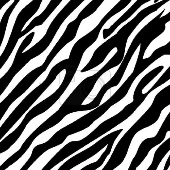 Tapeta: Ponadczasowy zebra