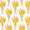 Tapeta: Pszenica bez szwu. spikelty powtarzają teksturę, niekończące