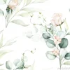 Tapeta: Róże i eukaliptus subtelna ilustracja