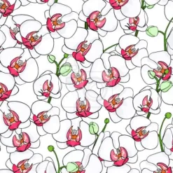 Tapeta: Rozkwitająca orchidea