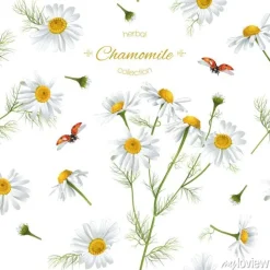 Tapeta: Rumianek bez szwu wzór