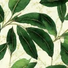Tapeta: Seamless pattern watercolor botanical flowers flax green leaves