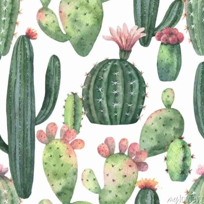 Tapeta: Sukulenty malowane akwarelą