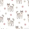 Tapeta: Szare psy husky i łapki na białym tle