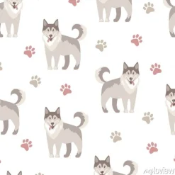 Tapeta: Szare psy husky i łapki na białym tle