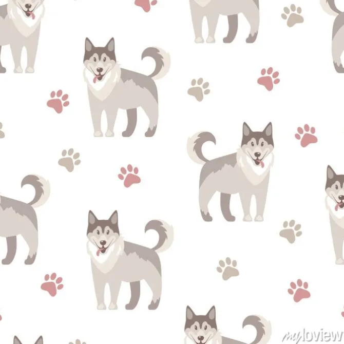 Tapeta: Szare psy husky i łapki na białym tle