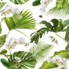 Tapeta: Tropical orchid white pattern
