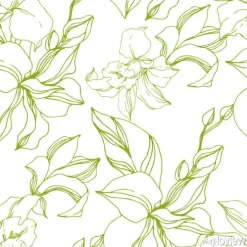 Tapeta: Vector orchid floral botanical flowers. black and white engraved