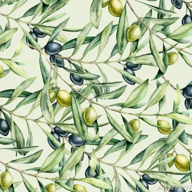Tapeta: Watercolor delicate seamless pattern with olives branches. hand