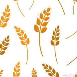 Tapeta: Wektor p? aski wzór bez szwu pszenicy na bia? ym tle. pojęcie