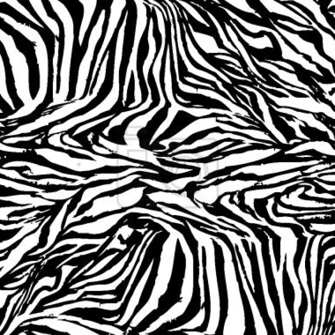 Tapeta: Zebra czarno-biała