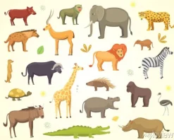 Tapeta: Zestaw zwierząt afrykańskich cartoon cartoon. słoń, nosorożec,
